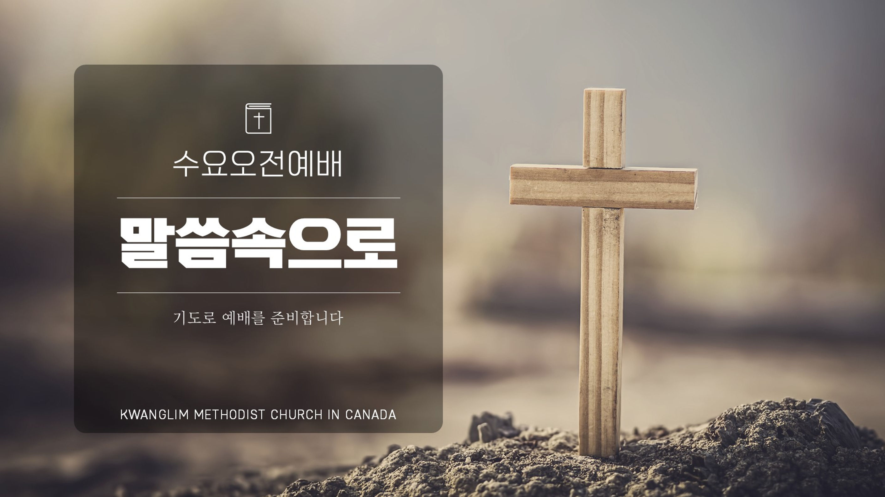 수요 "말씀 속으로"